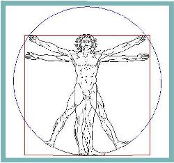 DVinci's human proportions.
