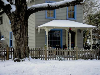 Winter Painting with CaliWeltm